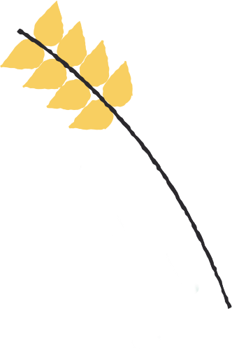 aa